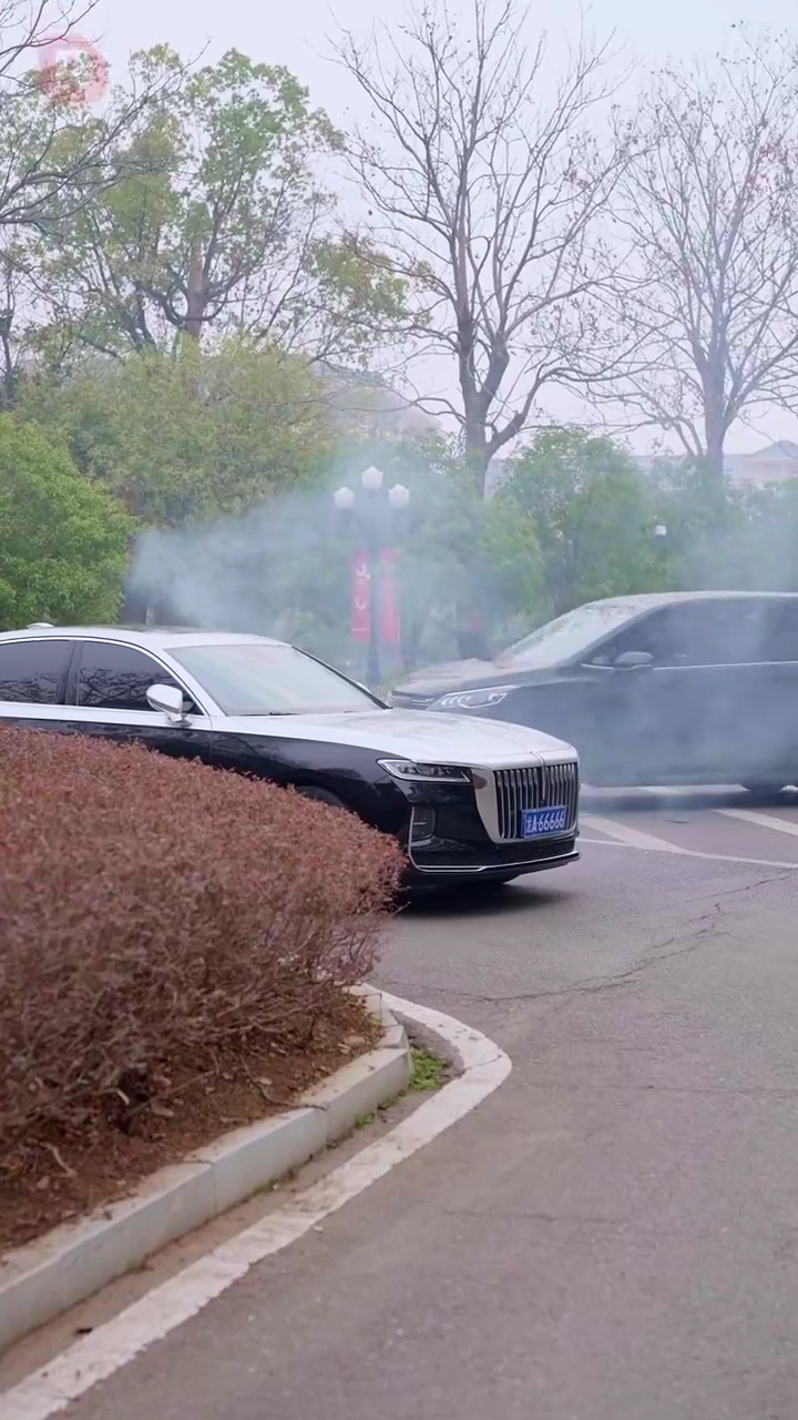 Projet de famille : l'amour frappe deux foisPhoto