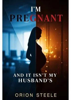 I'm Pregnant, And It Isn't My Husband's Novel Cover