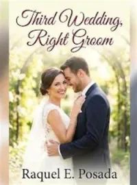 Third Wedding, Right Groom Novel Cover