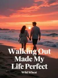 Walking Out Made My Life Perfect Novel Cover