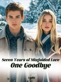 Seven Years of Misguided Love,One Goodbye Novel Cover