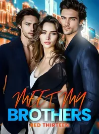 Meet My Brothers Novel Cover