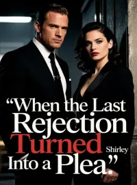 When the Last Rejection Turned Into a Plea Novel Cover