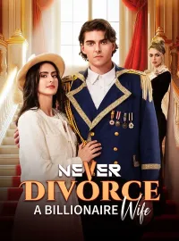 Never Divorce a Billionaire WifeMini Series