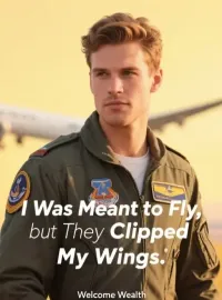 I Was Meant to Fly, but They Clipped My Wings Novel Cover