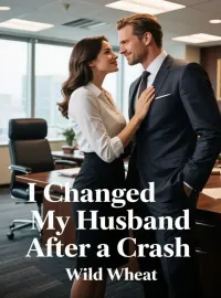 I Changed My Husband After a Crash Novel Cover