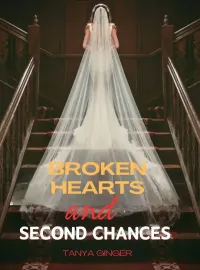 Broken Hearts and Second Chances Novel Cover