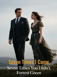 Seven Times I Came, Seven Times You Didn't Novel Cover