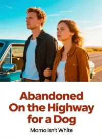 Abandoned On the Highway for a Dog Novel Cover