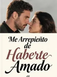 Portada de la novela Me Arrepiento de Haberte Amado