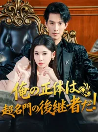 俺の正体は超名門の後継者だ!ミニシリーズ