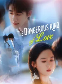 The Dangerous Kind of LoveMini Series