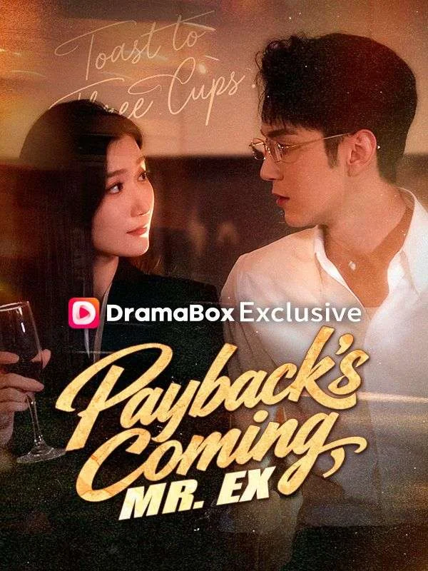 Payback's Coming, Mr. Ex cover art