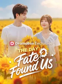 The Day Fate Found Us(DUBBED)Short Dramas