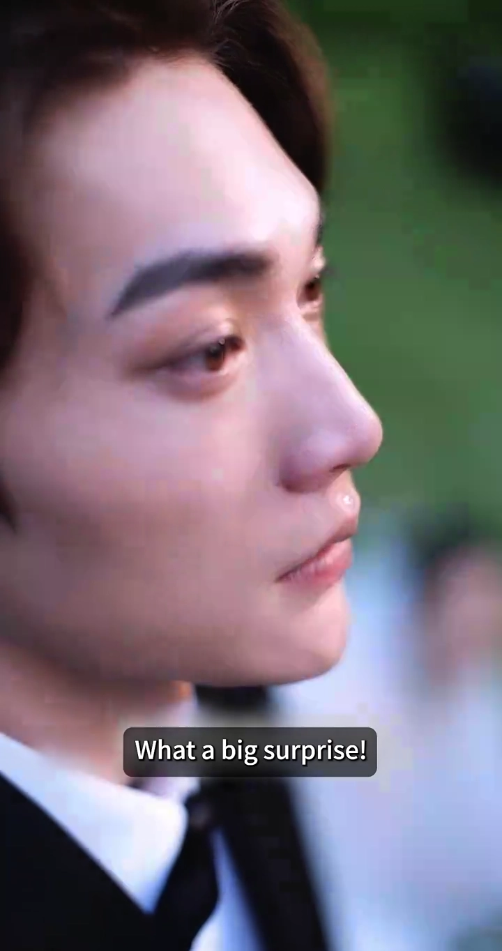 Mr. Ming, You Are Just a SubstitutePhoto