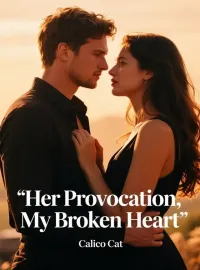 Her Provocation, My Broken Heart Novel Cover