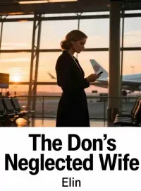 The Don’s Neglected Wife Novel Cover