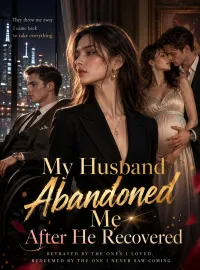 My husband abandoned me after he recovered Novel Cover