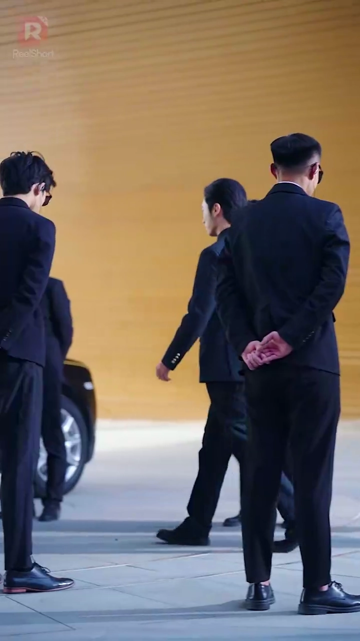 สามีฉันเป็นซีอีโอลับรูปภาพ