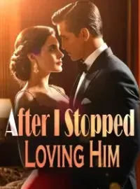 After I Stopped Loving Him Novel Cover