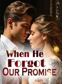 When He Forgot Our Promise Novel Cover