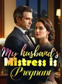 My husband's Mistress is Pregnant Novel Cover