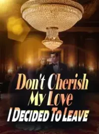 Don't Cherish My Love, I Decided To Leave Novel Cover