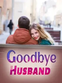 Goodbye,Husband Novel Cover