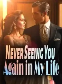 Never Seeing You Again in My Life Novel Cover