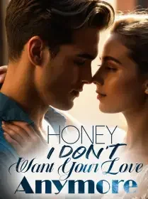 Honey, I Don't Want Your Love Anymore Novel Cover
