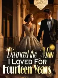 Divorced the Man I Loved For Fourteen Years Novel Cover