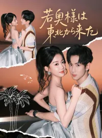 若奥様は東北から来たミニシリーズ