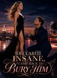 Declared Insane, I Came Back to Bury Him Novel Cover