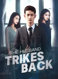 The Husband Strikes BackMini Series