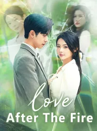 Love After The FireShort Dramas
