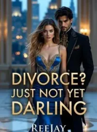 Divorce? Just Not Yet Darling Novel Cover