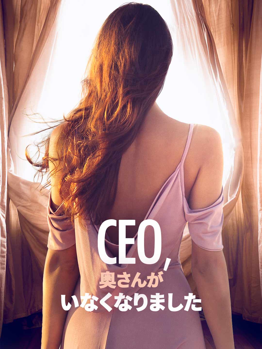 CEO、 奥さんが いなくなりましたミニシリーズ