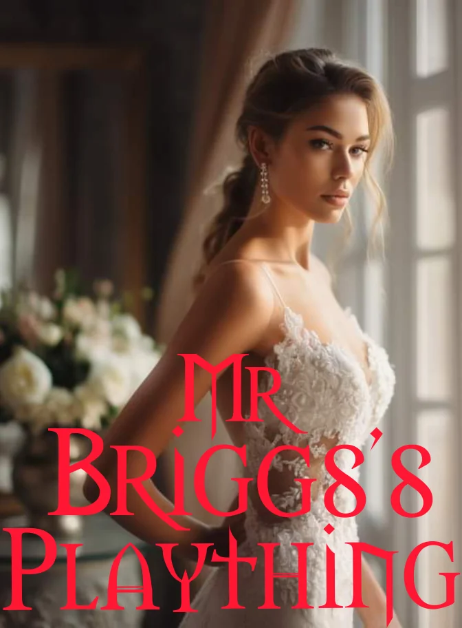 MR BRIGGS'S PLAYTHING Novel Cover