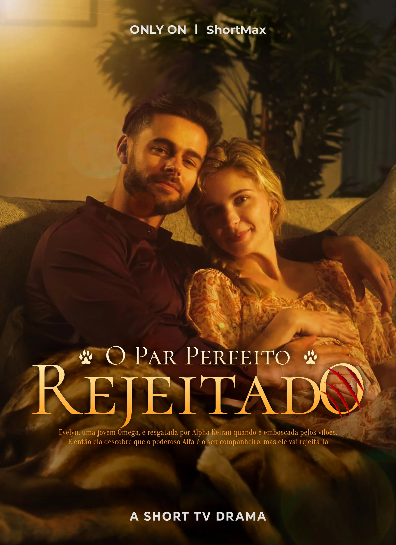 O Par Perfeito RejeitadoMini Séries