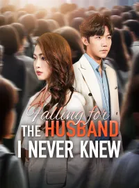 Falling for the Husband I Never KnewMini Series