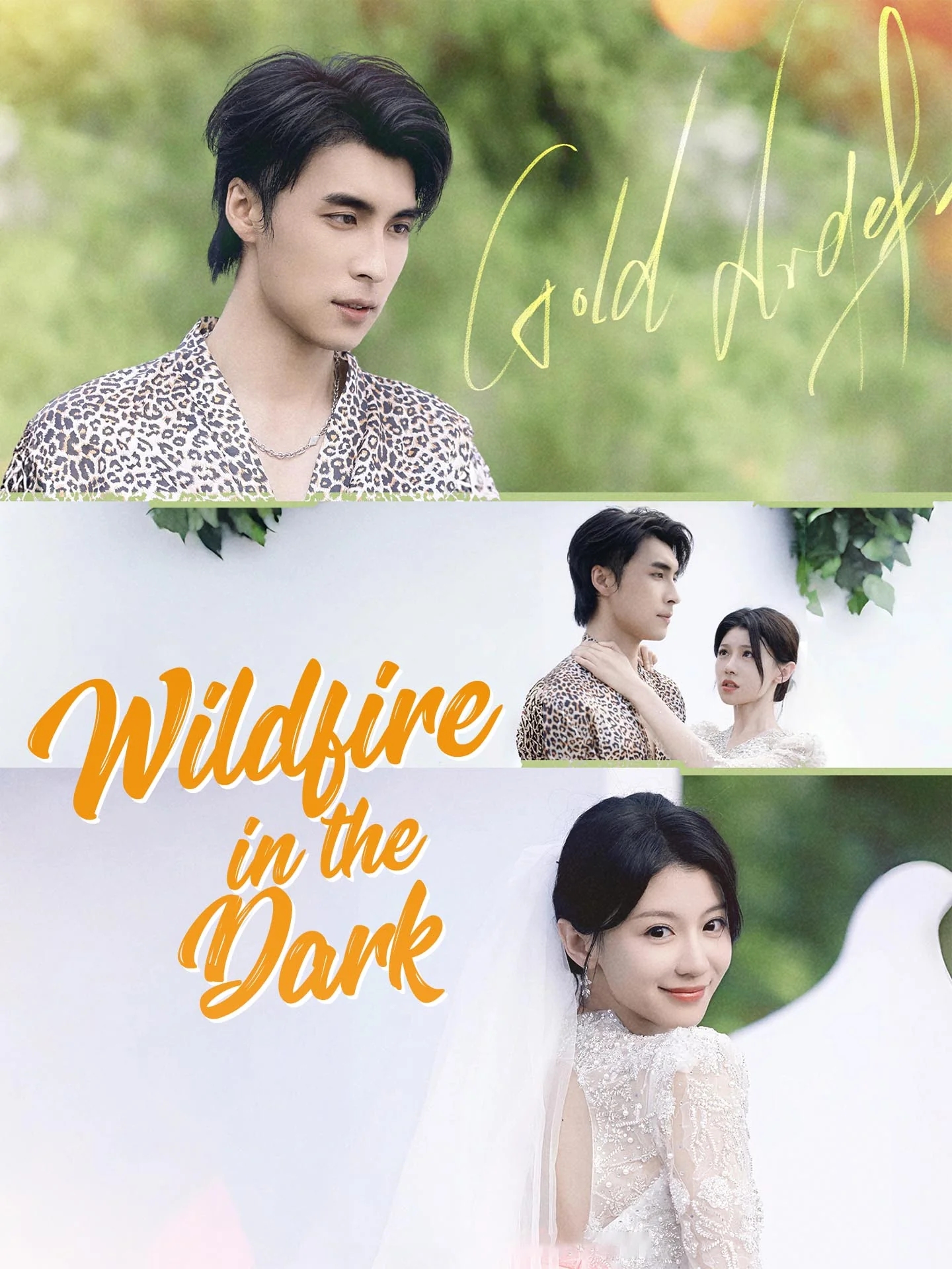 Wildfire in the Dark cover art