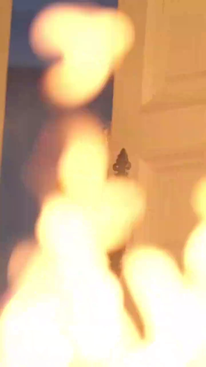 復讐と再生：母の復活写真