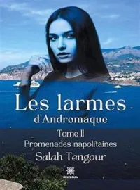 Couverture du roman Les larmes d'Andromaque: Tome II - Promenades napolitaines