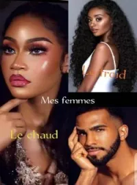 Couverture du roman MES FEMMES : le chaud et le froid