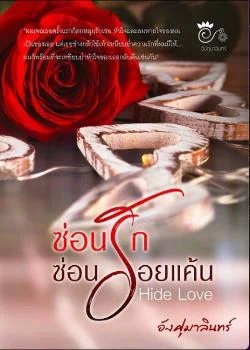 หน้าปกนวนิยาย ซ่อนรักซ่อนรอยแค้น