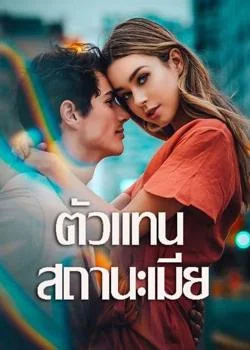 หน้าปกนวนิยาย ตัวแทนสถานะเมีย
