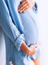 Couverture du roman Vierge et Enceinte