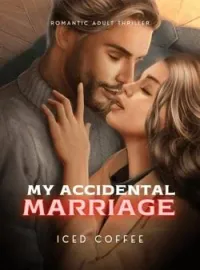 Sampul Novel My Accidental Marriage