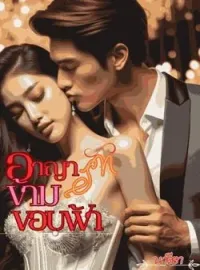 หน้าปกนวนิยาย อาญารัก ข้ามขอบฟ้า