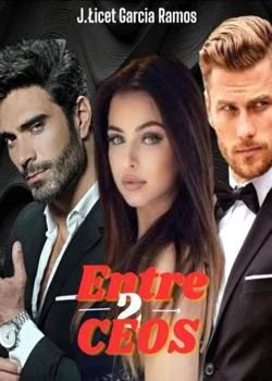 Capa do romance Entre 2 CEOS